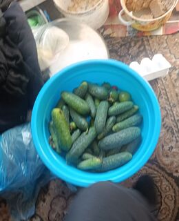 Васин сын — фото 1